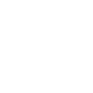 Home 45 Rhino Interiors Group