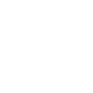 Home 37 DTW Logo