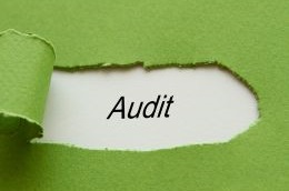 Top 5 benefits of an HR audit for small businesses 14 Audit 1